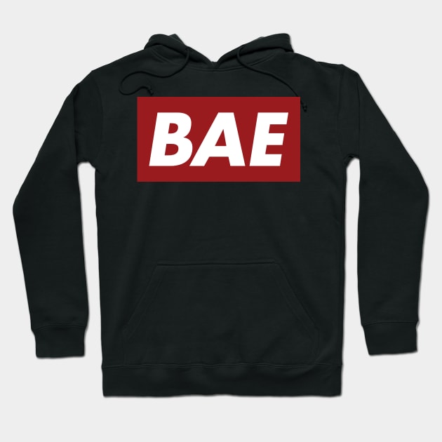 Bae T-Shirt Hoodie by HolidayShirts